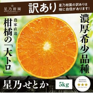 【訳あり】星乃せとか 柑橘の大トロ(5kg)【C45-97】【1650682】