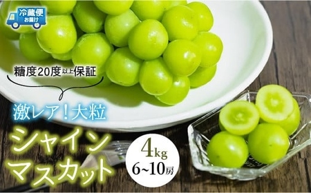【2026年発送★先行予約】超レア大粒シャインマスカット4.0㎏以上（6房から10房）106-005-26y