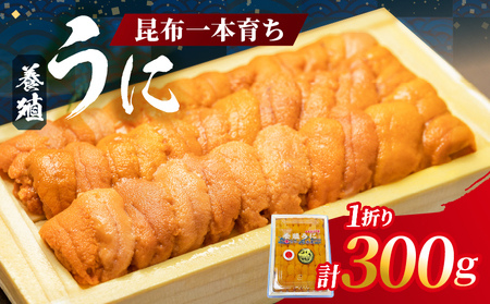 昆布一本育ち!!「浜中町産 養殖うに 折詰入り　300g×一折り」_H0038-004
