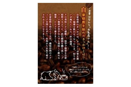 No.205 自家焙煎コーヒー 飲みやすいオリジナルブレンド♪海夢珈琲(マリンコーヒー) ＜コーヒー粉＞ (200g×3袋 計600g)飲料 コーヒー コーヒー粉 自家焙煎 ブレンドコーヒー オリジナ