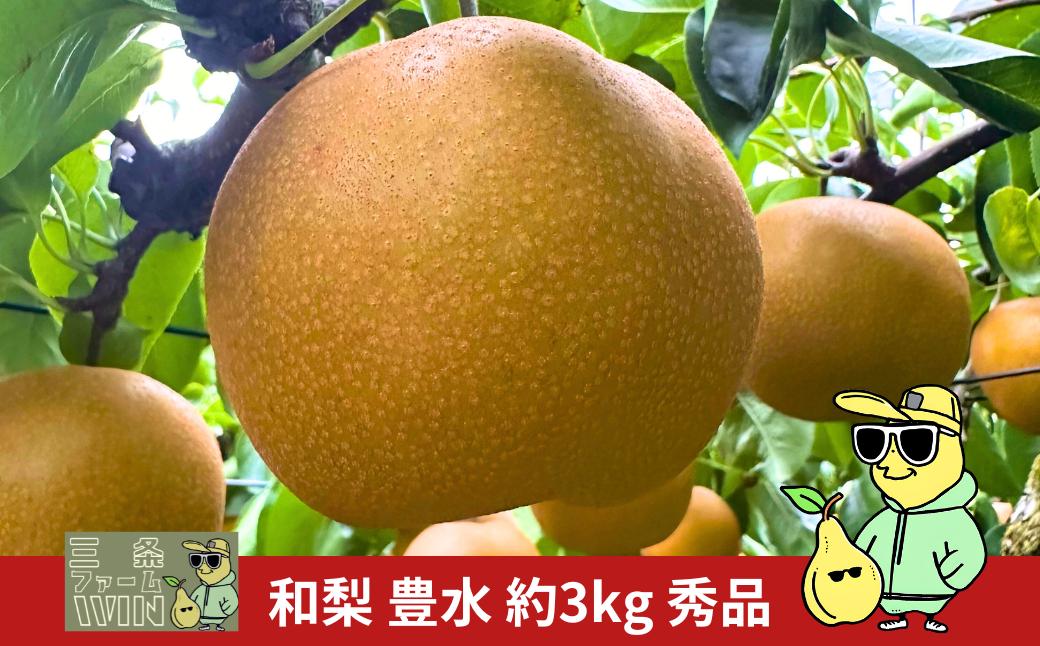 
                  和梨 豊水 約3kg 秀品 令和8年度 冷蔵 新潟フルーツ 新潟県産 梨 [三条ファームWIN] 【010S863】
                