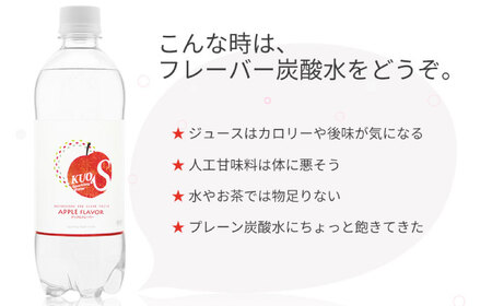 【全12回定期便】強炭酸水クオス アップルフレーバー 500ml×24本  / 炭酸 炭酸 炭酸 炭酸 炭酸 炭酸 / 日田市 / 株式会社OTOGINO[AREF172]
