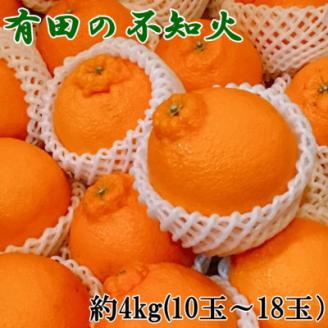 【濃厚春柑橘】有田産不知火約4kg(10玉～18玉おまかせ)(上富田町)