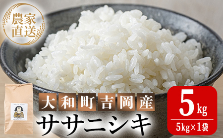 【令和8年産 新米】＜先行予約受付中！R8年9月下旬から順次発送予定＞お米農家直送！ササニシキ 5kg お米 おこめ 米 コメ 白米 ご飯 ごはん おにぎり 宮城米 ささにしき 令和8年産 お弁当 【お米農家ろくすみファーム】 ta522