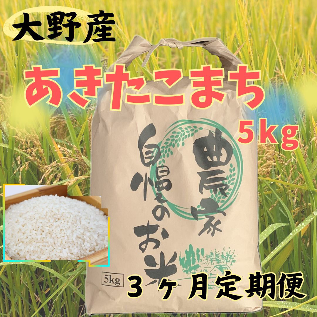 【ふるさと納税】【3ヵ月定期便】令和7年産大野産あきたこまち5kg