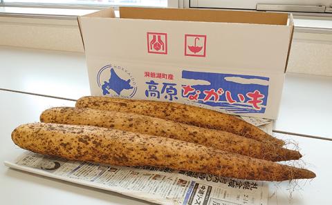 「とろろごはんセット 」お米(2品種各2kg)と長芋(約5kg) ※2024年4月春掘り長芋