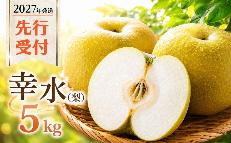 
                  【2027年発送】 梨 幸水 5kg  (8～14玉) | 和梨 幸水梨 5キロ 2027年産 みずみずしい 水分 夏 甘み 人気 旬の梨 果物 フルーツ デザート 新鮮 果肉 果汁 茨城県産  JA 北つくば 関東 茨城 筑西
                