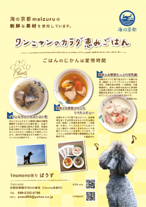 犬猫用 ペットフード 2種類×2袋 ワンコとニャンコのご飯 自然食材 安心安全 パウチ レトルト ペット用品 ドッグフード キャットフード ヒューマングレード ごはん 犬 猫 ペット用品 ペットフード