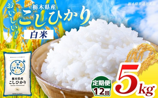 【栃木県共通返礼品】【先行予約】【令和8年度産】【定期12回】栃木県産コシヒカリ 5kg |定期便 選べる ふるさと 納税 コシヒカリ お米 精米 白米 玄米 大粒 共通返礼品 送料無料 那珂川町 栃木県