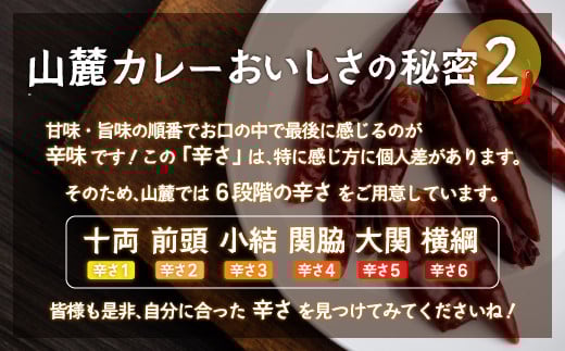 また食べたくなるカレー！＜木更津山麓カレー＞十両・前頭・小結・特製玉ねぎドレッシングセット ふるさと納税 カレー 健康 からだにやさしい 辛さ 重量 大辛 小結 レトルト セット 玉ねぎ ドレッシング