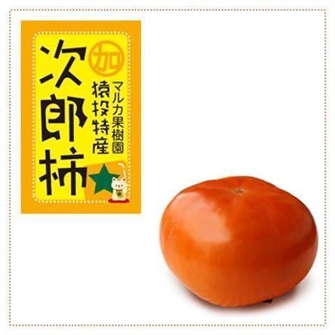 ＜先行受付＞次郎柿　約4kg【2026年11月上旬以降順次発送】