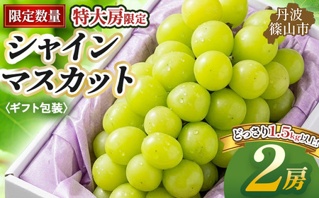 【早期予約限定】シャインマスカット 丹波篠山産 大粒だけ 〈ギフト2房・1.5kg以上〉シャインマスカット [PAK02]