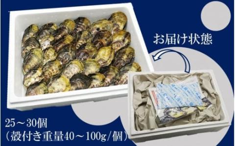 【予約受付開始】生食用殻付き牡蠣「Ostra Kunisaki」25～30個（殻付き重量40～100g/個）_2113R_イメージ4