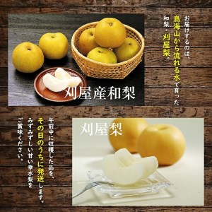 SA2926　酒田の果物専門店厳選　刈屋産 幸水梨　約3kg(7～9玉入)