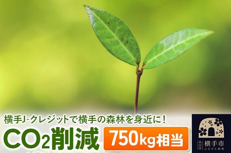 
横手J‐クレジットで横手の森林を身近に! CO2削減 750kg相当
