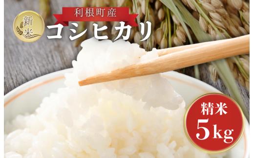利根町産　コシヒカリ　精米　5kg ／ 米 こめ コメ お米 おこめ コシヒカリ こしひかり 令和7年産 新米 精米 白米 ごはん ご飯 5kg 茨城県 利根町 産地直送 送料無料