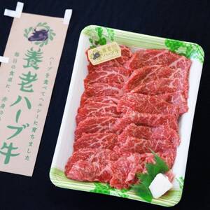 養老ハーブ牛　モモまたは肩　焼肉用　500g【配送不可地域：離島】【1273630】