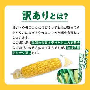 【訳あり】ＳＤＧｓ米糠堆肥で作ったとうもろこし「博多あまっコーン（ご家庭用カット品）」4.5キロ_Gv046_酒見農産