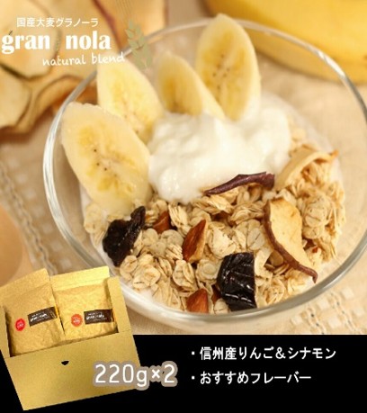 【定期便3ヶ月】厳選大麦グラノーラ Lパケットセット｜国産 腸活 朝食 低GI食品 信州 長野県 千曲市