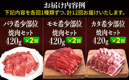 【牧場直送】【12回定期便】佐賀県産 しろいし牛 1頭まるごと 定期便【有限会社佐賀セントラル牧場】[IAH225]