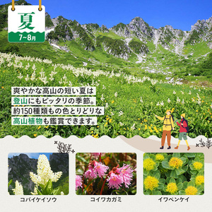 ロープウェイ 木曾 駒ヶ岳 4名様分 ロープウェイ