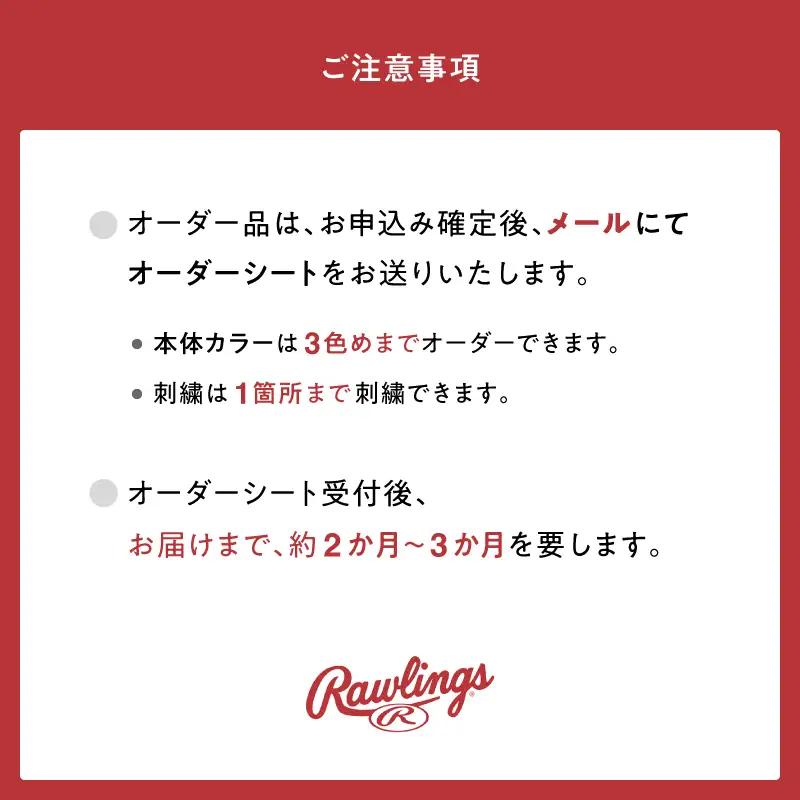 ローリングス (Rawlings) 硬式 スペシャル オーダー ミット キャッチャー ファースト