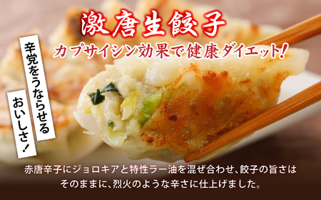 こだわり本格 生餃子 5種 食べ比べ セット 50個入り (10個×各5種類) 味の匠 味自慢 こだわり 本格 生餃子 エビ チーズ スタミナ にんにく 激唐 1週間程度で発送 冷凍 th00017