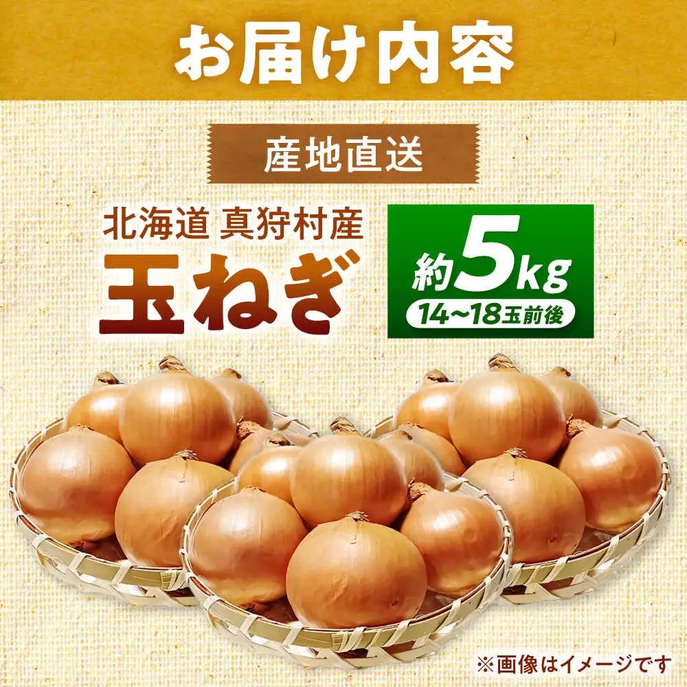 【先行予約】 玉ねぎ 5kg [BPAM079] 玉ねぎ 北海道