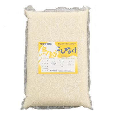 ふるさと納税 白山市 やまだ農場の鳥越こしひかり10kg(5kg×2パック)白米