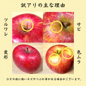 【青森ごのへ産】 家庭用 サンふじ 約10kg(訳アリ)【配送不可地域：離島・沖縄県・中国・四国・九州】【1122681】