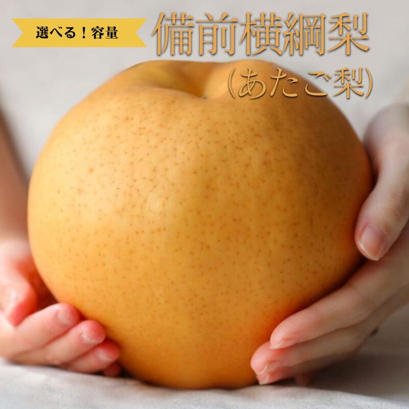 【ふるさと納税】 備前横綱梨 サイズが選べる あたご梨 果物 フルーツ デザート 和梨 おすすめ 人気 お取り寄せ お取り寄せグルメ 取り寄せ ギフト 贈り物 プレゼント 贈答 自宅用 産地直送 旬 大玉 大きい 岡山県 お歳暮 梨 なし