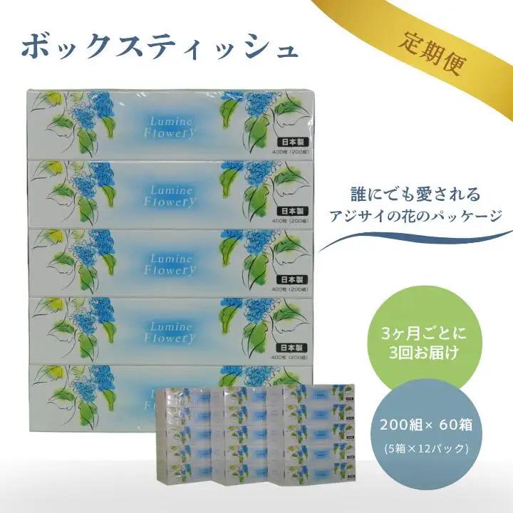 【3ヶ月ごとに3回お届け 定期便】 ルミネフローリー200W5P 12パック入