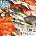 【ふるさと納税】魚 富山湾直送 さばいた鮮魚セット 4～5種 旬 新鮮 鮮魚 刺身 詰め合わせ 産地直送 冷蔵/くろべ漁業協同組合 魚の駅「生地」/富山県 黒部市　【 海鮮 魚介類 魚介 セット 】