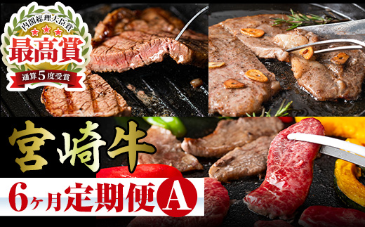 【定期便・全6回】宮崎牛定期便＜Aセット・焼肉＞ お楽しみ便 牛肉 国産 定期 ヒレ肉 モモ ウデ ロース バラ 宮崎県産 黒毛和牛 焼肉 ステーキ 【R-100】【ミヤチク】