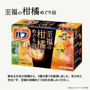 SC0294　花王バブ 至福の柑橘めぐり浴 12錠入×12箱