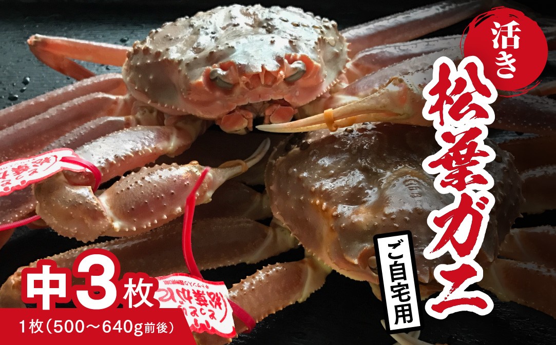【活き】ご自宅用 松葉ガニ 中 3枚 (1枚500～640g前後) カニ 蟹 松葉ガニ 松葉がに かに 鳥取 高間商店 日野町