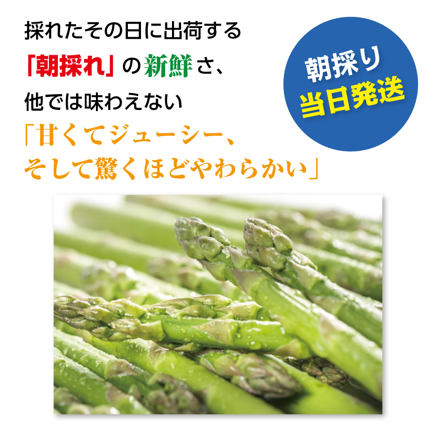 【2026年6月発送】北海道上ノ国町 寅福菜園の6月限定アスパラ　2L（1.6kg）　グリーンアスパラ　朝採れ　農家直送　新鮮　甘い　春野菜　旬野菜　特産品　北海道産