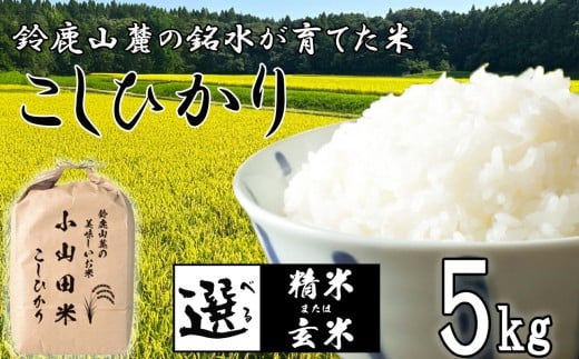 こしひかり 5kg 鈴鹿山麓の銘水が育てた米、米どころ三重県産小山田地区「こしひかり（精米）」5kg