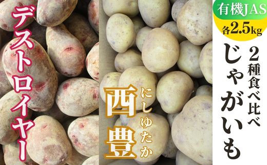 先行予約 有機JASじゃがいも 2種 食べ比べ 5kg 各2.5kg （西豊、グランドペチカ／デストロイヤー） 【畑直送】
