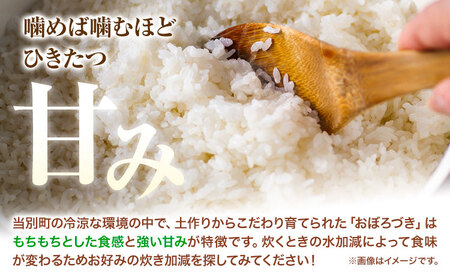 [1.2-363]【令和7年産先行受付】ファームふたば特別栽培米「おぼろづき」5kg《10月中旬～（新米収穫出来次第、出荷）》 産地直送 お取り寄せ 国産 北海道産 当別町産 お米 精米 白米 弁当 