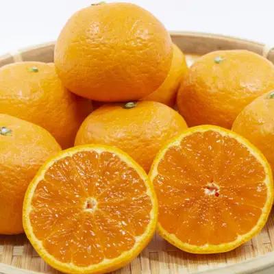 【春みかん】和歌山有田産カラマンダリン約5kg(サイズおまかせ)※2027年4月上旬～2027年5月中旬頃に順次発送【tecj1022】