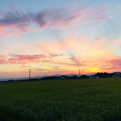 ふるさと納税 新庄市 至福のはえぬき(精米)5kg×2袋 |  | 01