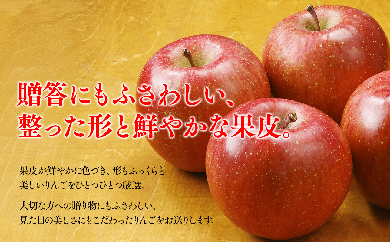 【10月発送】贈答用早生ふじ5kg【今井農園】≪hi-0064-011≫