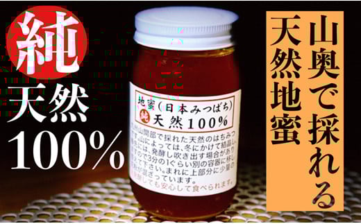 
【山奥で採れる天然地蜜】天然100％純粋蜂蜜 600g
