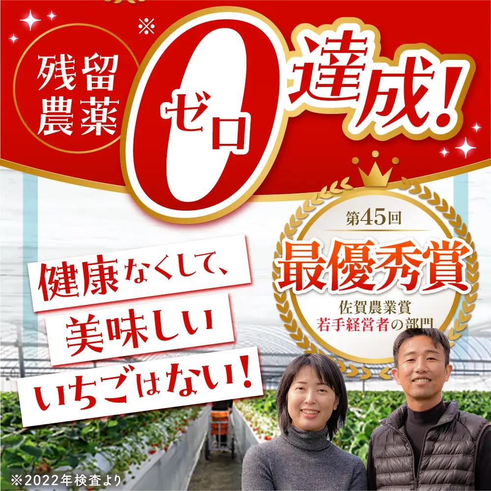 【先行予約】【12月発送】王様のいちごいちごさん400g×2箱むらおか農園 HAF001 果物 フルーツ