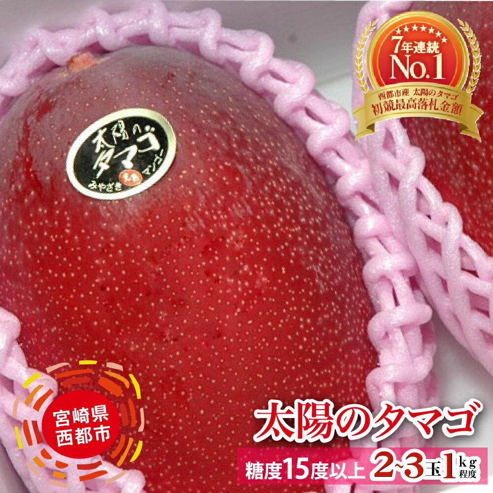 【ふるさと納税】完熟マンゴー「太陽のタマゴ」約1kg（JA西都）令和8年収穫分【楽天限定】【先行予約】宮崎県 西都産 果物 フルーツ