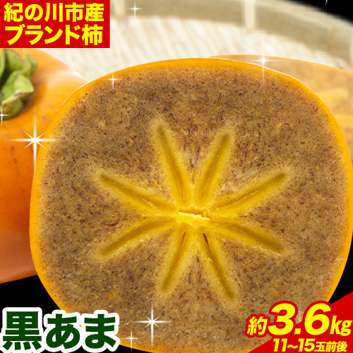 【先行予約】紀の川市産 黒あま 種なし 約3.6kg（11～15玉前後）4L～2Lサイズ《2026年10月中旬-11月末頃出荷》和歌山県 紀の川市 たねなし柿 くろあま 高級 産地直送 かき 柿 カキ 果物 フルーツ
