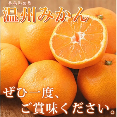 【2025年11月下旬より発送】有田の小粒みかん5kg　(S～3Sサイズ混合)