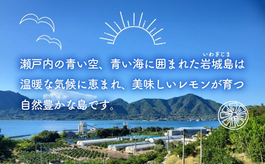 愛媛　ブルーレモンファームのレモン果汁　720ml　1本