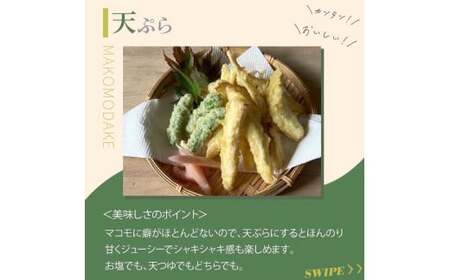 【先行予約】完全自然栽培マコモダケ 約1kg 【9月中旬～発送予定】| マコモダケ まこもだけ マコモ たけのこ トウモロコシ 長野県 塩尻市